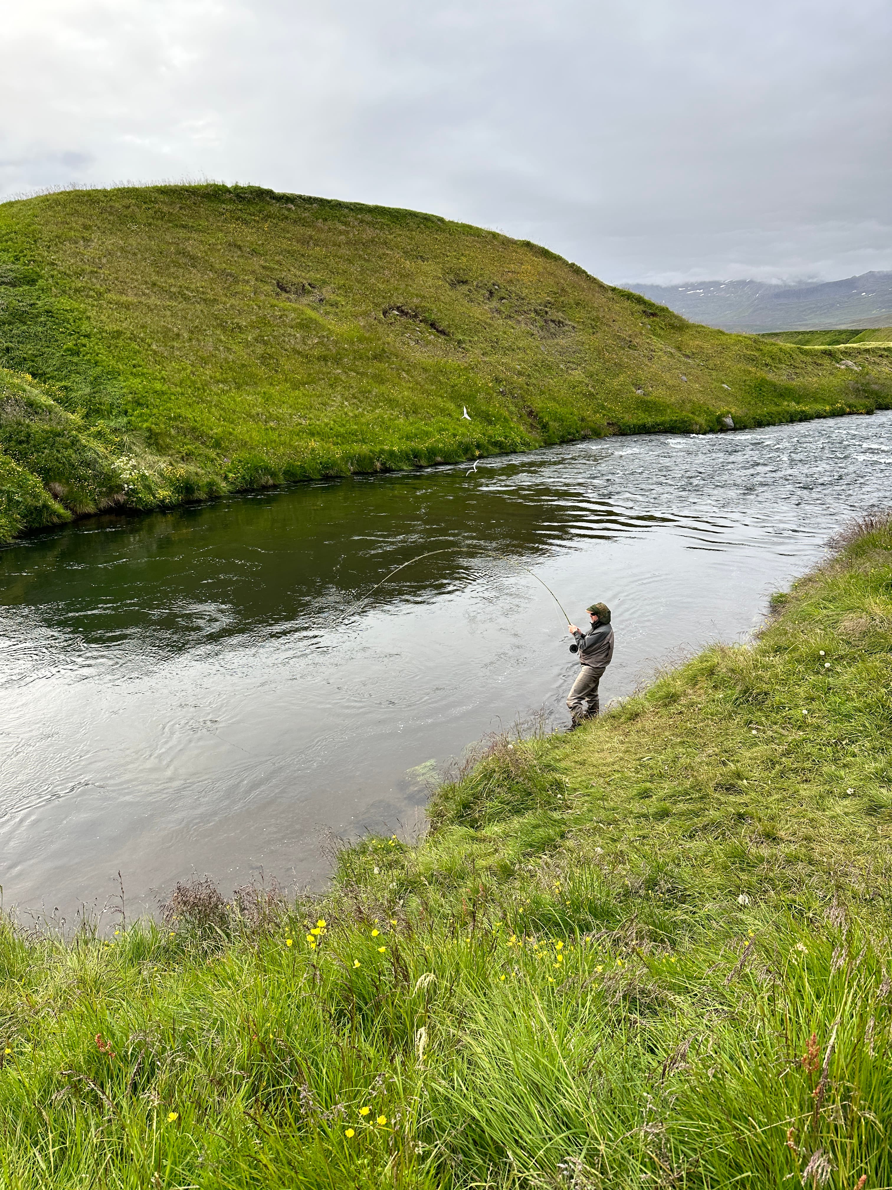 Bugða í Hólsá